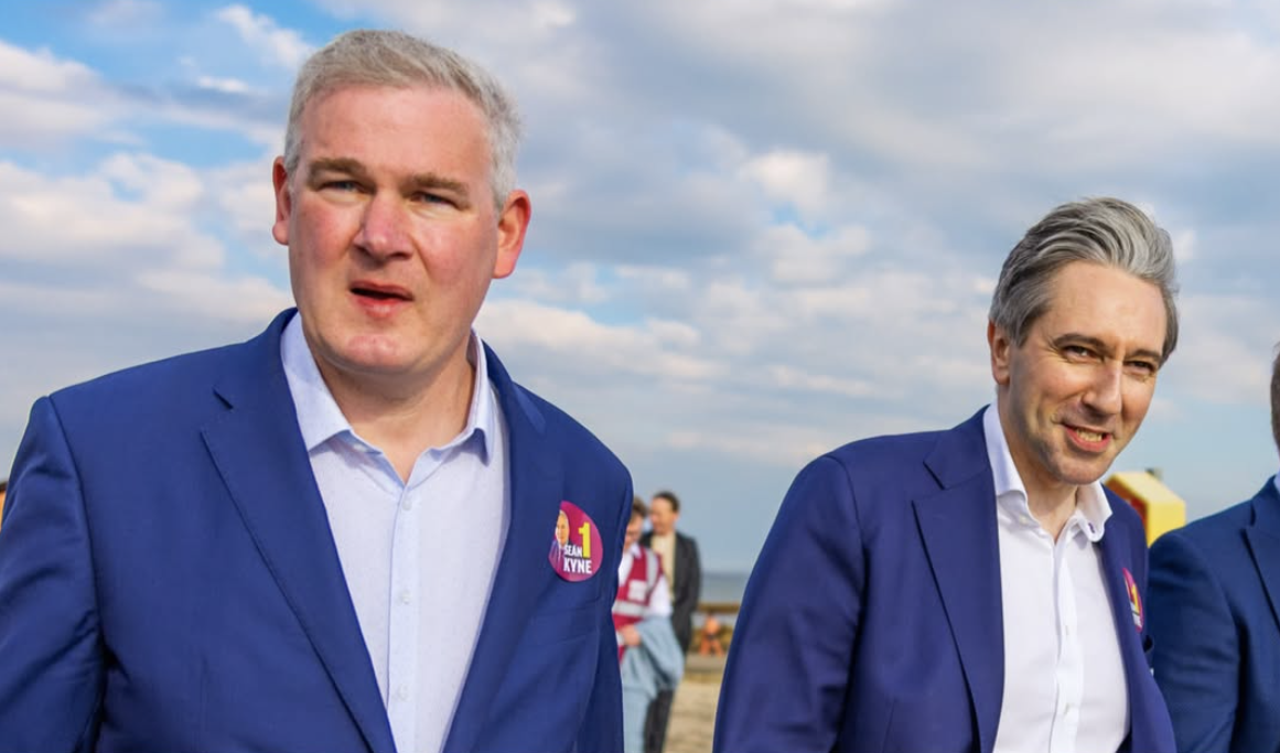 Analysis: Dáil Éireann By-Elections 2026